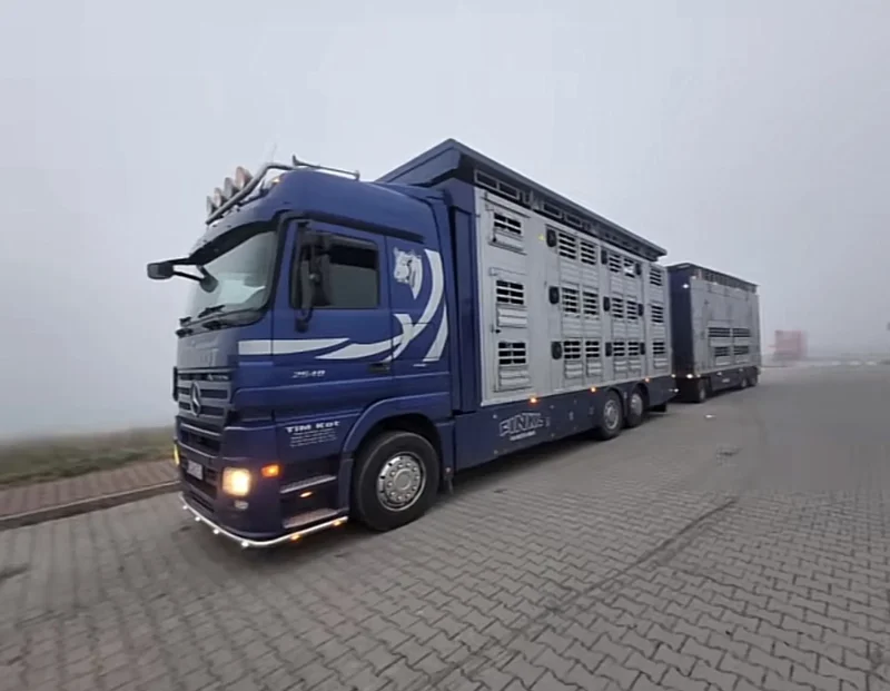 Niebieska ciężarówka z przyczepami do transportu bydła na parkingu