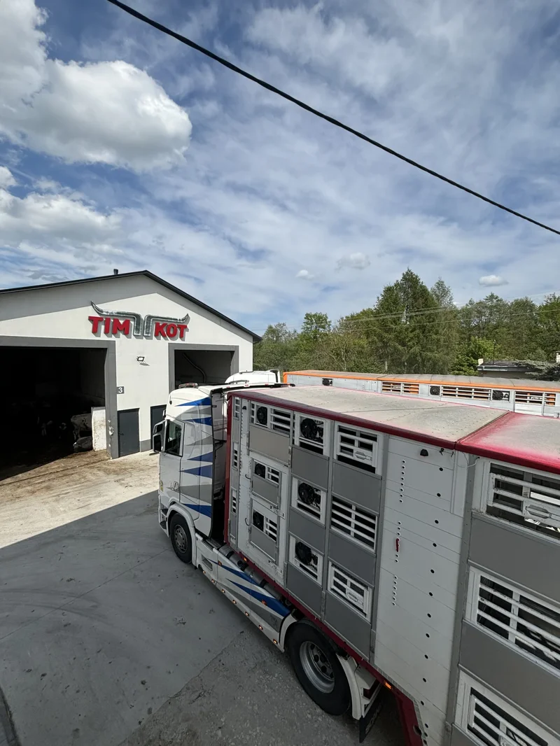 Ciężarówka do transportu bydła stojąca przed siedzibą firmy Transport bydła