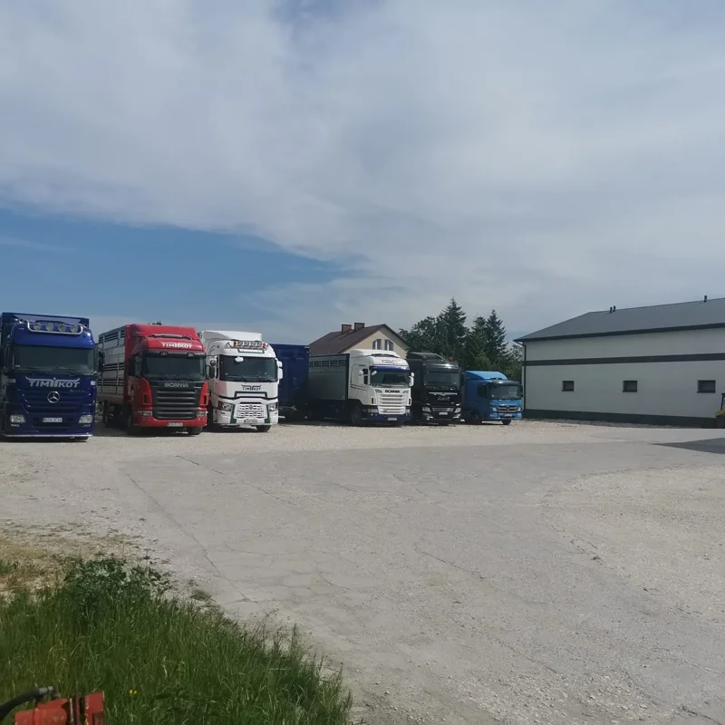 Kilka ciężarówek zaparkowanych na firmowym placu, gotowych do realizacji usługi Transport zwierząt