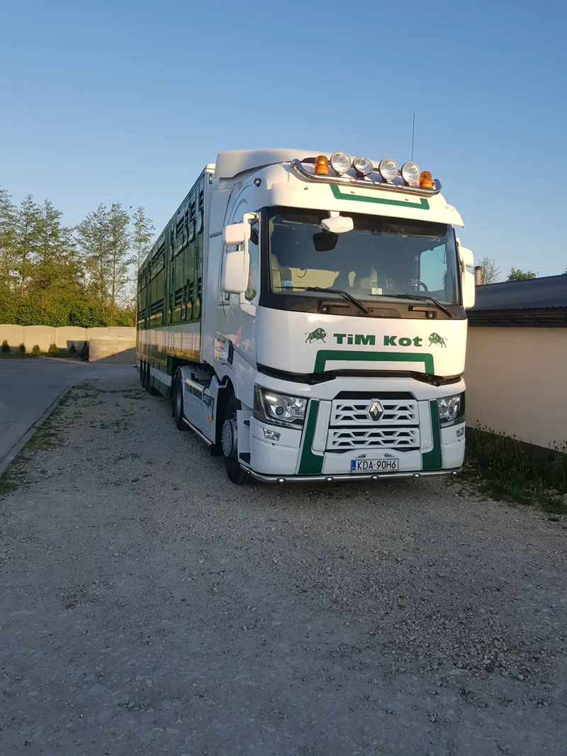 Ciężarówka z zabudowaną naczepą do Transport bydła w barwach firmowych
