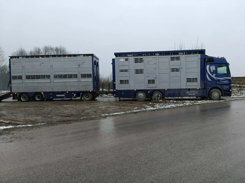 Ciężarówka z naczepą do transportu bydła stojąca na poboczu drogi, bez widocznych zwierząt Transport bydła