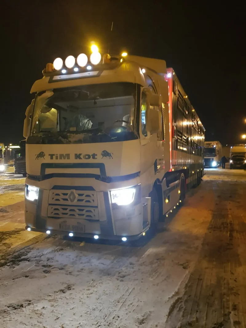 Ciężarówka z naczepą na śnieżnym placu nocą Transport zwierząt